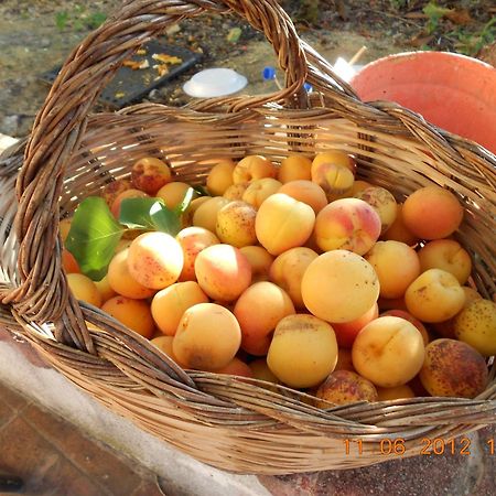 Agriturismo - B&B "La Funicolare" Francavilla Marittima Ngoại thất bức ảnh