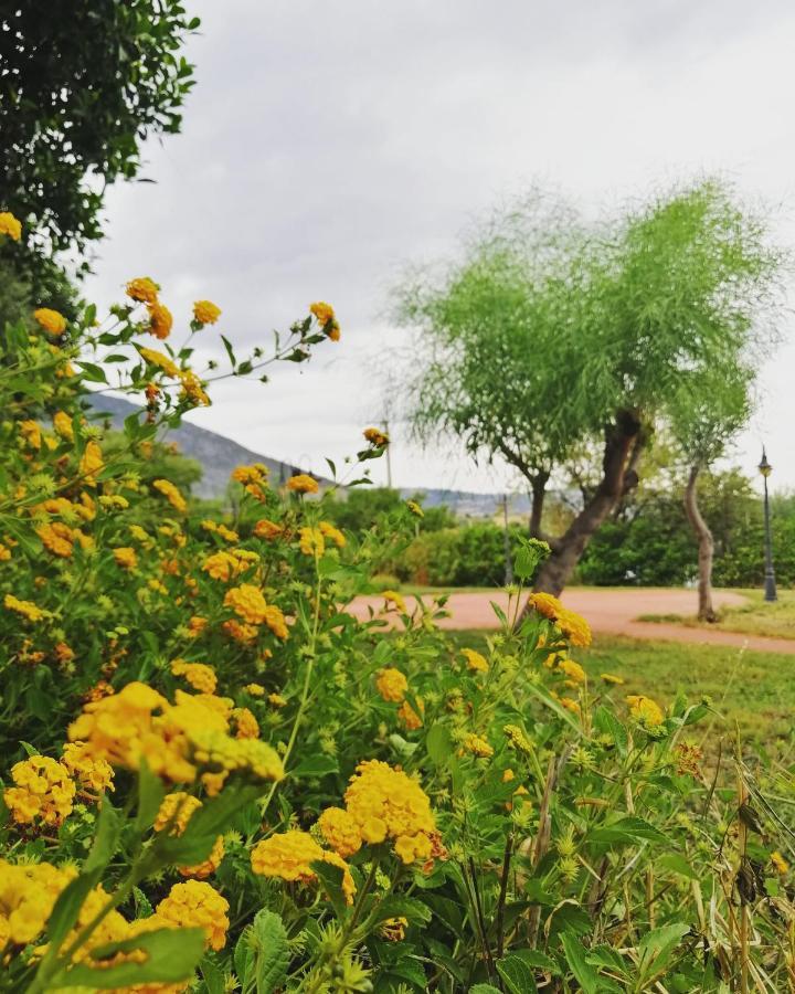 Agriturismo - B&B "La Funicolare" Francavilla Marittima Ngoại thất bức ảnh