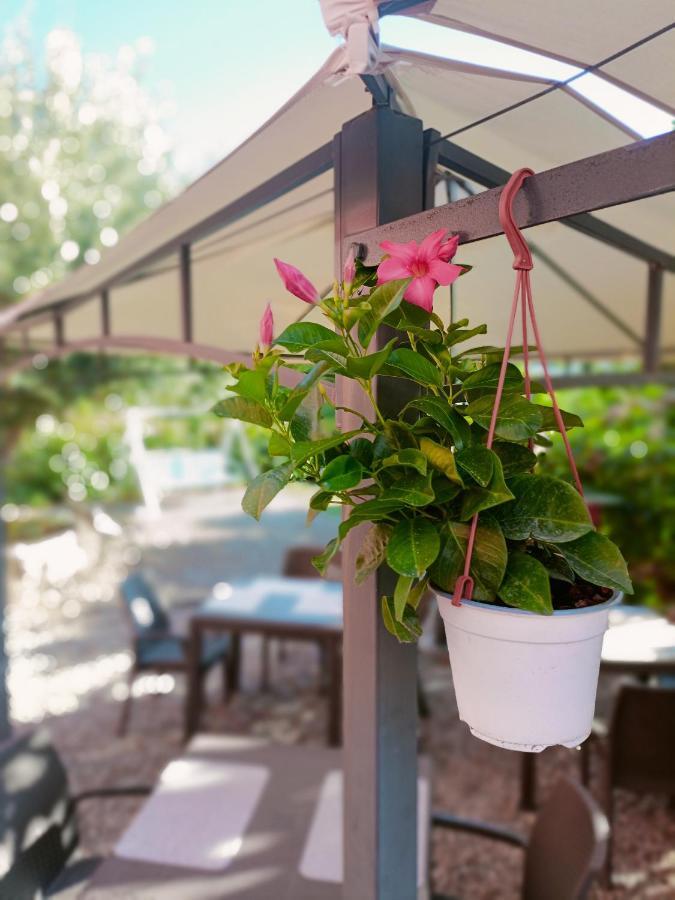 Agriturismo - B&B "La Funicolare" Francavilla Marittima Ngoại thất bức ảnh