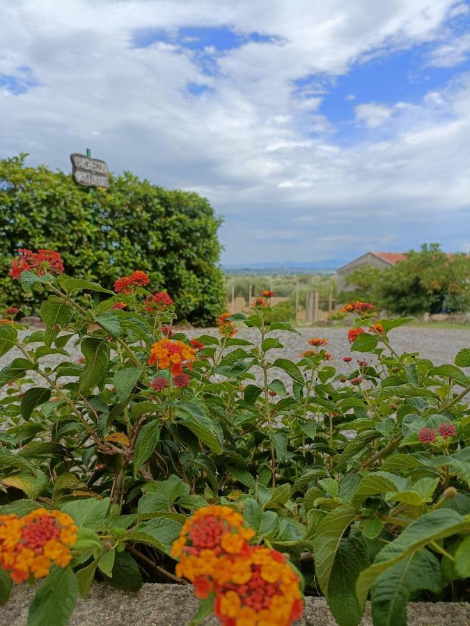 Agriturismo - B&B "La Funicolare" Francavilla Marittima Ngoại thất bức ảnh
