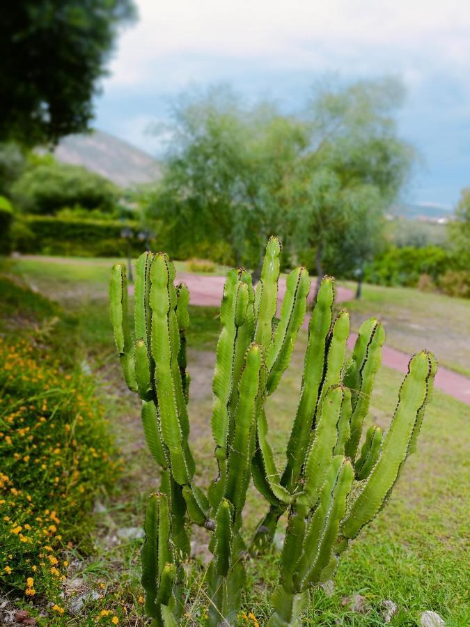 Agriturismo - B&B "La Funicolare" Francavilla Marittima Ngoại thất bức ảnh