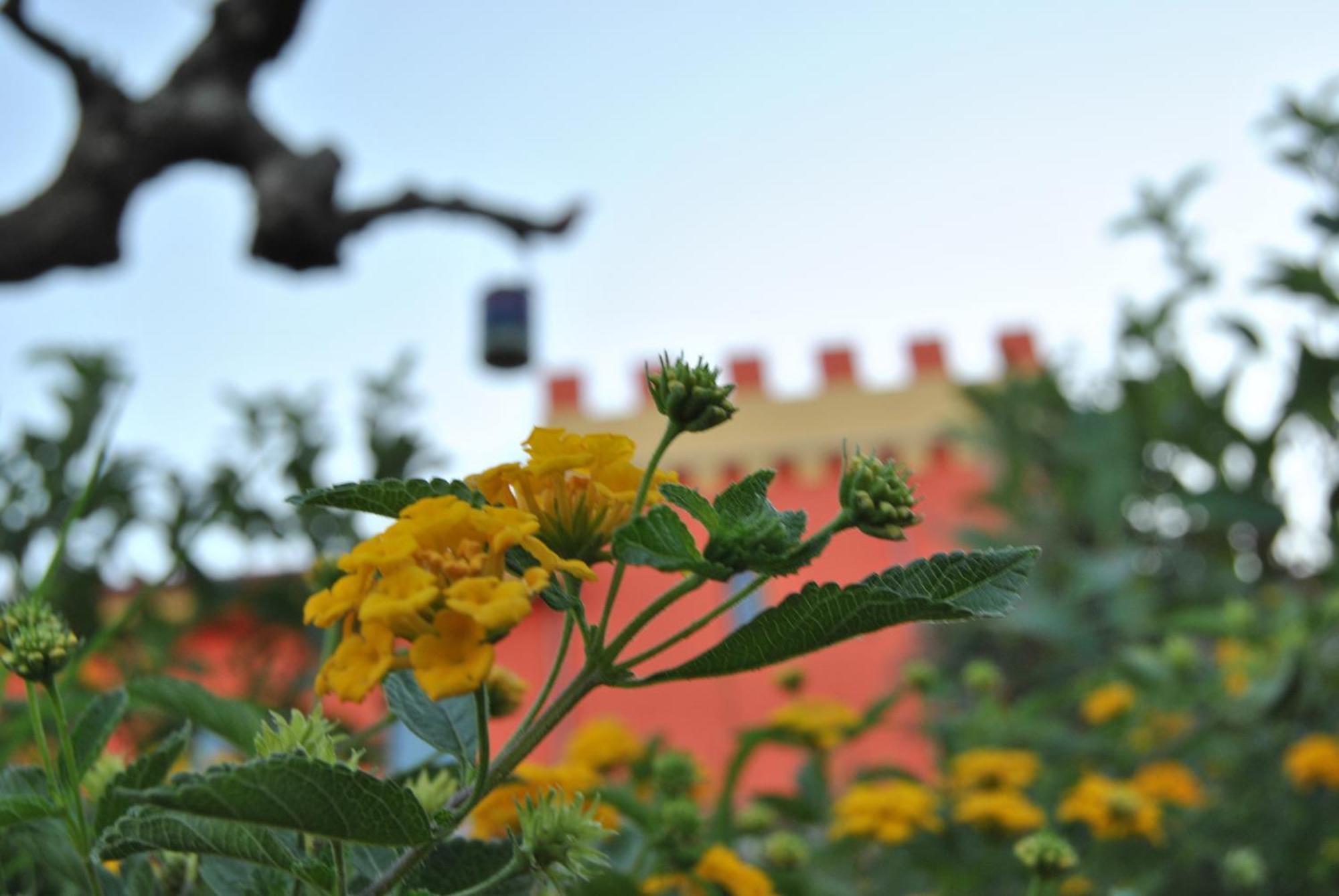Agriturismo - B&B "La Funicolare" Francavilla Marittima Ngoại thất bức ảnh